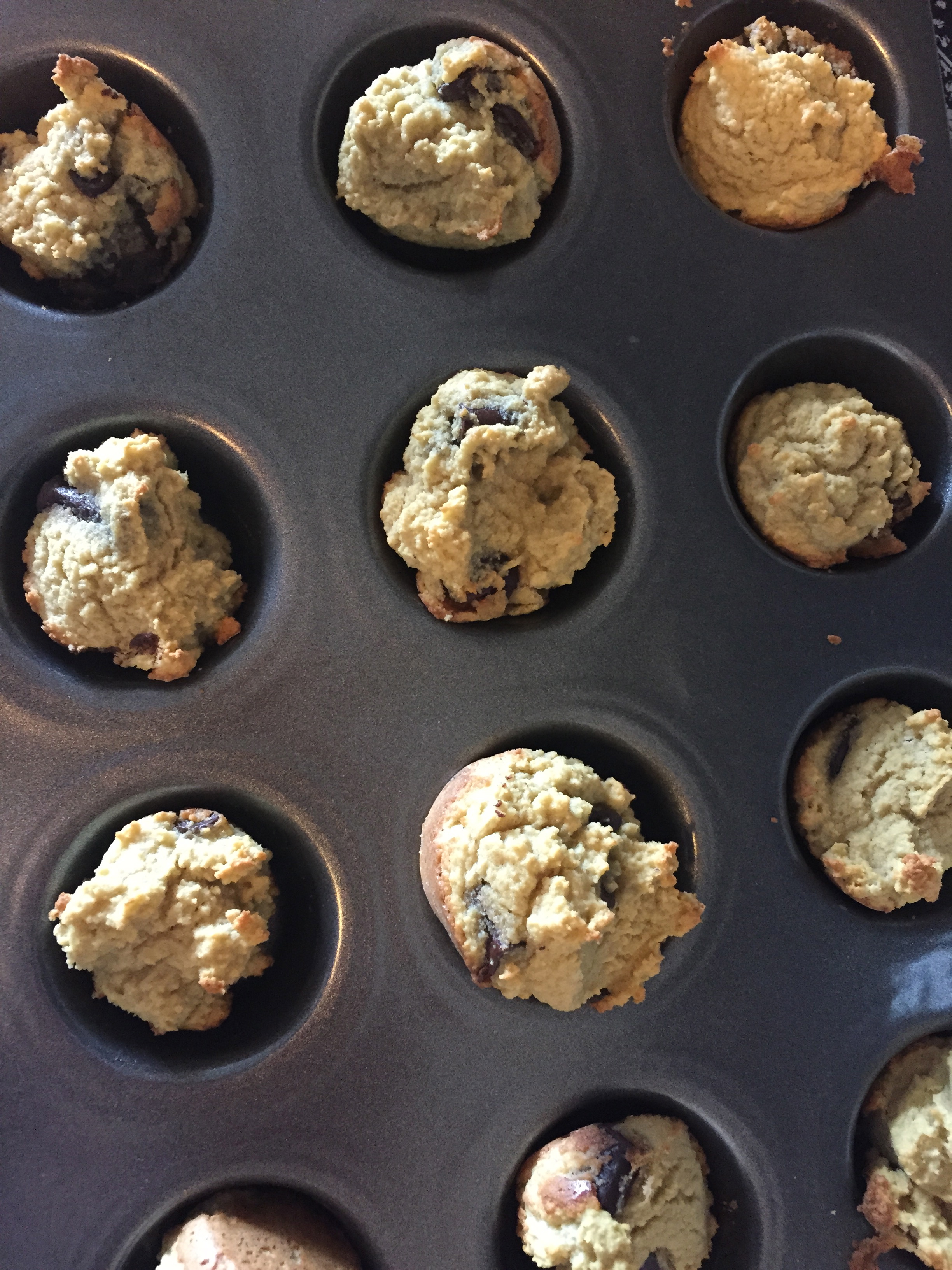 Coconut Flour Chocolate Chip Muffins
